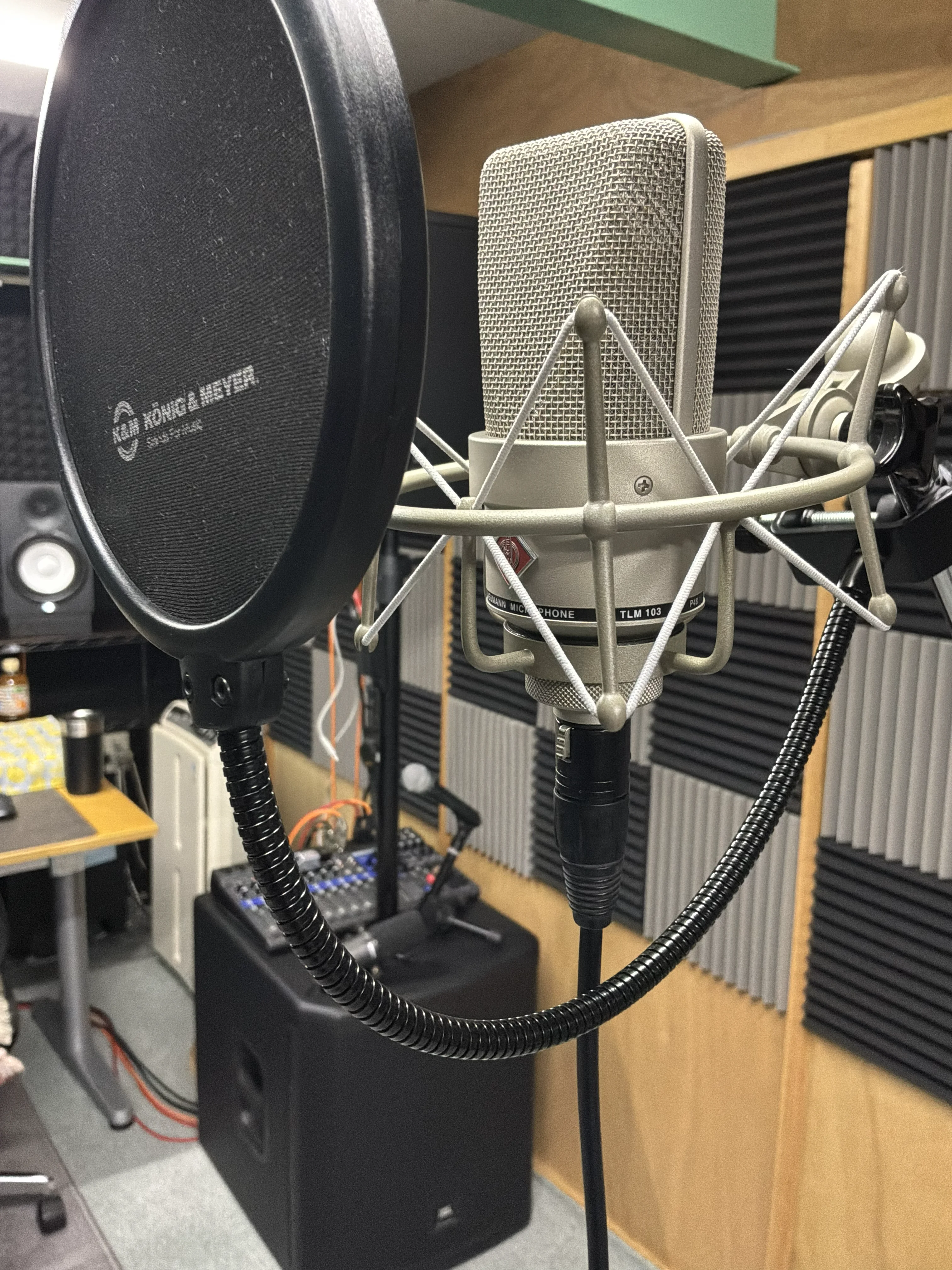 Neumann TLM103を使用したレコーディング風景